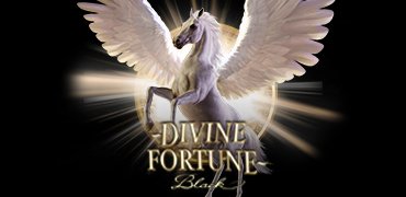 Divine Fortune Black